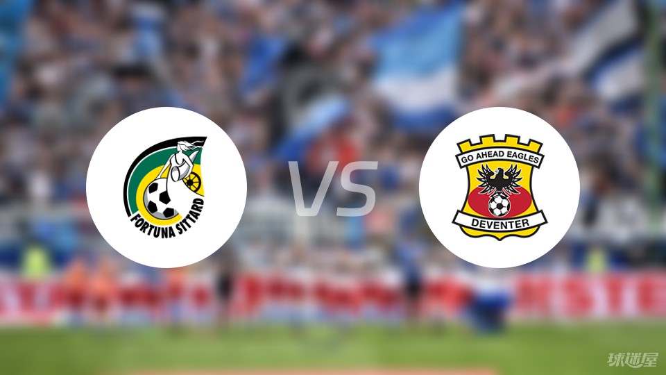 丹麦球迷对 丹麦球迷对