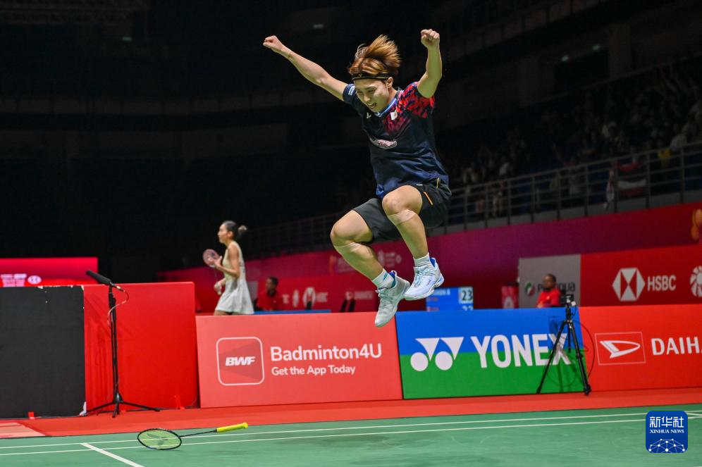 多米诺骨牌 多米诺骨牌